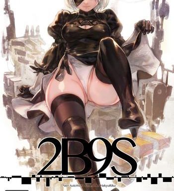 2b9s cover