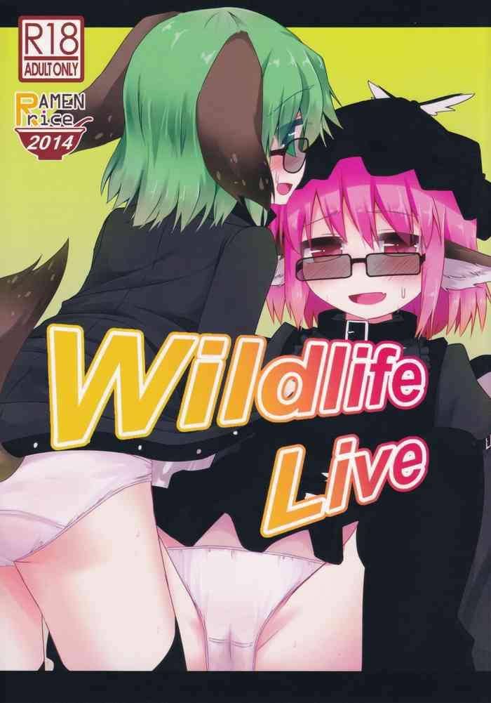 wildlife live cover