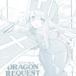 dragon request vol 13 cover
