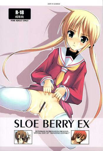 sloe berry ex cover
