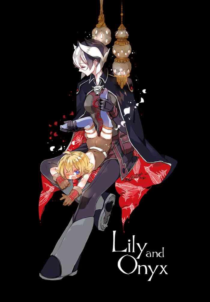 lily and onyx cover