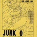 junk 0 cover